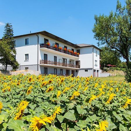 Gasthof-Pension Wein Breitenbrunn  Eksteriør bilde