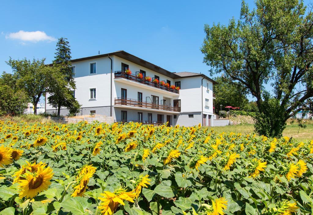 Gasthof-Pension Wein Breitenbrunn  Eksteriør bilde